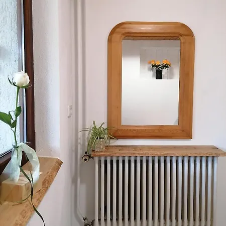 Schwarzwald * ستينن