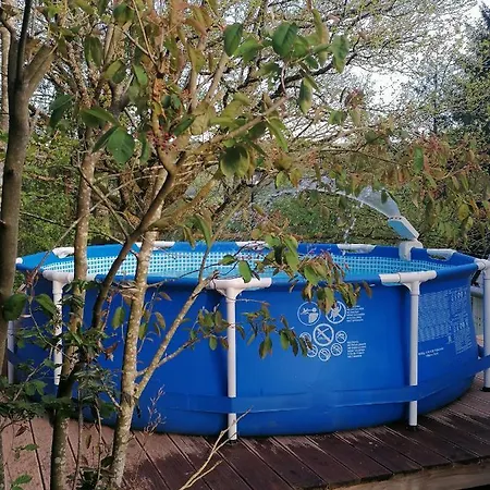 Schwarzwald * ستينن