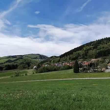 شقة Schwarzwald *