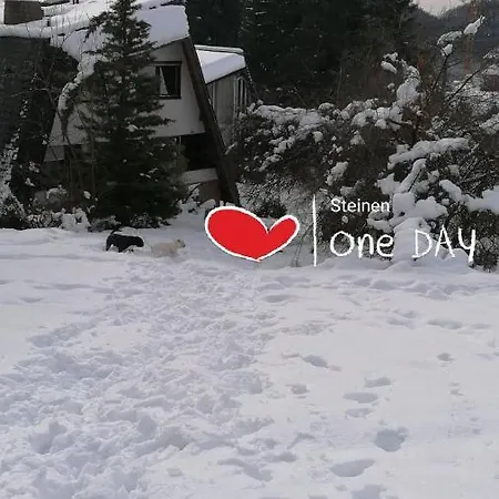 شقة Schwarzwald *