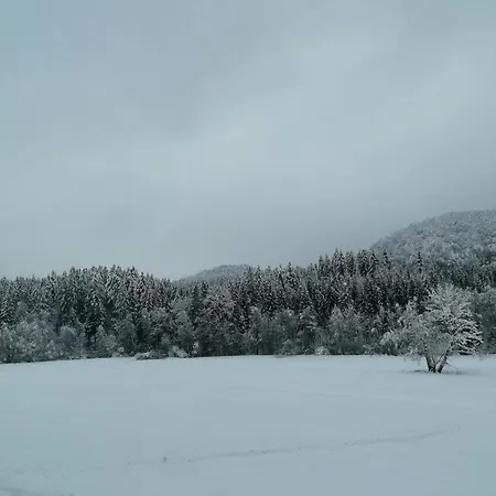 Schwarzwald ستينن